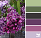 flora tones