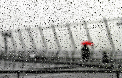 鱼忘七0采集到雨景