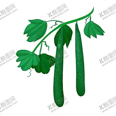 藤上新鲜黄瓜插画 【酷图网】卡通黄瓜,手绘黄瓜,黄瓜插画,黄瓜图标,小黄瓜,黄瓜,新鲜小黄瓜,水果黄瓜,嫩黄瓜,小青瓜,有机黄瓜,青瓜,荷兰黄瓜,有机小黄瓜,地黄瓜,卡通插画图标,矢量黄瓜