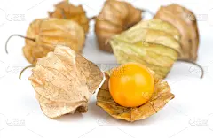 醋栗,白色背景,自然,水平画幅,橙色,原始视频,水果,樱桃,无人,红菇娘