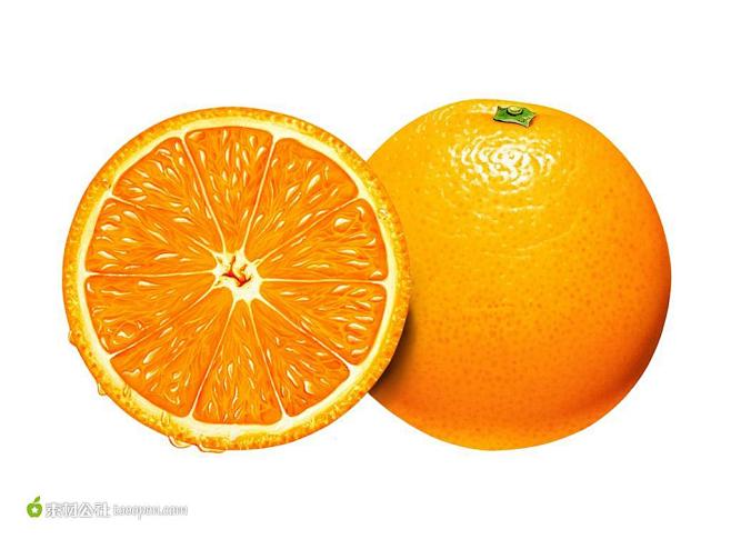 精美手绘橙子素材图片下载，现在加入素材公...