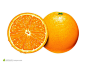 精美手绘橙子素材图片下载，现在加入素材公社即可参与传素材送现金活动