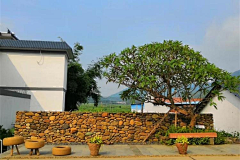 熙攘xcc采集到风景