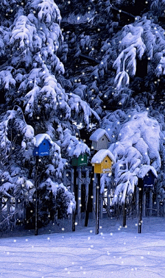 九色魔方采集到雪景