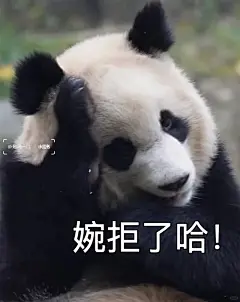 社会我爱姐的表情包也太生动了吧！_3_嗷呜一口_来自小红书网页版
