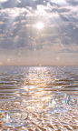 (40) Pinterest