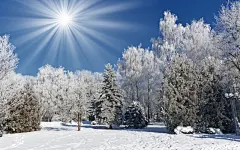 蓝天下的唯美雪景桌面高清壁纸桌面壁纸2