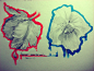 Papaver somniferum L 红蓝罂粟 花语：希望。