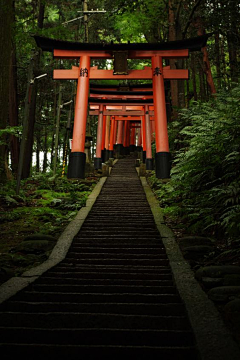 NN鹿子采集到建筑风景