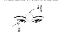 丸子达人hvaL采集到光影