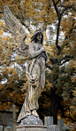 Angel by past1978 - One of the many tombstones in the Slavin cemetery of Prague