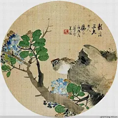 【朱偁花鸟团扇画】