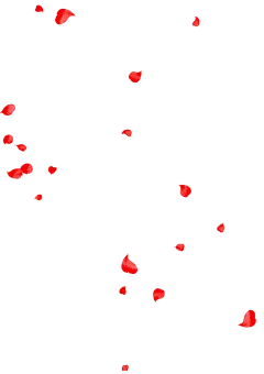 PNG素材#免抠图#漂浮素材 #几何图形、点线面#钱 
@冒险家的旅程か★