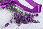 新鲜薰衣草紫色丝带的花束