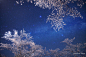 天文摄影：日本摄影师 MASAHIRO MIYASAKA 美轮美奂的夜空摄影