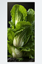 蔬菜小白菜摄影图片-众图网