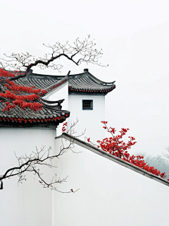 ZMEILIII采集到场景