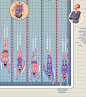 Evolution of Swimming : Illustration for Epoca Negocios Mag