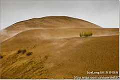 【行摄西域】  内蒙古库布齐沙漠, 闻路旅游攻略