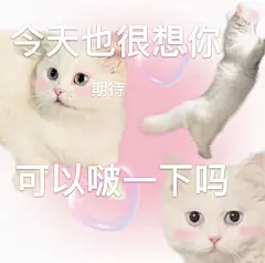 来看看修猫表情包表情包无水印​​​