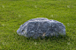 把大石头放在草坪上。