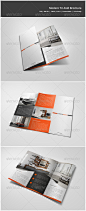 Modern Tri-Fold Brochure - Corporate Brochures