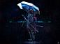 nelson-tai-seb-dsgn-rainfulla-001a
