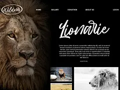 Hillbear潮流书法手写体logo标识杂志请帖海报标题草书英文字体-淘宝网