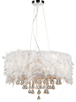 Peacock Polished Chrome Five-Light Drum Pendant with White Ostrich Feather Shade contemporary-pendant-lighting