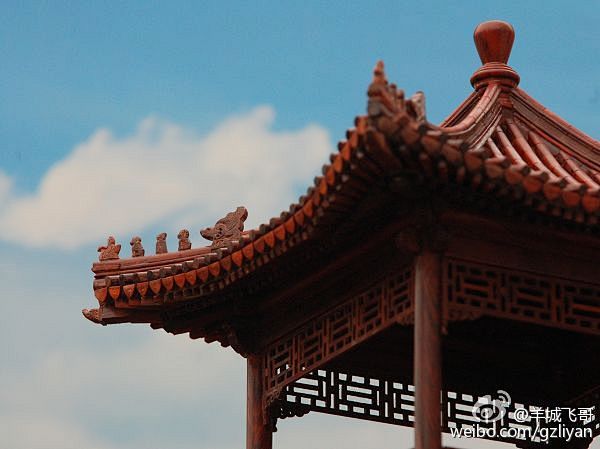 羊城飞哥的微博_微博