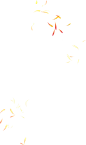 菊花瓣