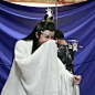 陈情令
