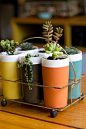 Vintage tumblers used as plant pots - so cute!