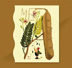 M_山今采集到插画-动、植物