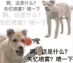 XTp4ERZN采集到沙雕创意