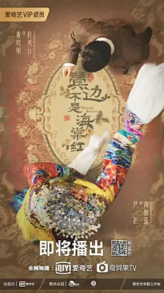 鬓边不是海棠红 民国爱情 俯瞰视角海报