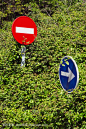 两个交通标志与植被
two traffic signs with vegetation