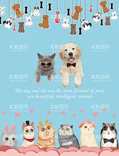 宠物猫狗海报  - 源文件下载【酷图网】宠物,猫咪,狗,可爱,卡通,