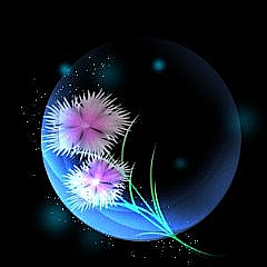 晒花瓣采集到黑色背景图片