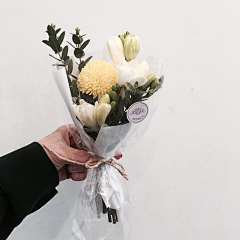 你好我是F班袁湘琴采集到‘花与爱丽丝’