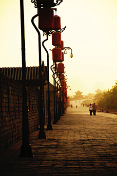 骆驼来了采集到风景