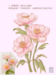 芍药上色啦，后面有上色教程哦 - 小红书