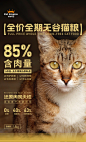 猫粮宣传海报-志设网-zs9.com