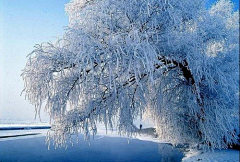 微奇生活采集到雪景