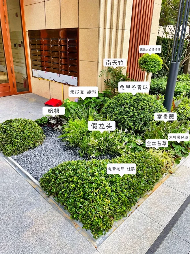 一款低维护、免打理的花境搭配，点赞收藏植物清单 等春天照抄作业喔～ #花园生活 #植物造景 #庭院设计 #花境#浪漫生活的记录者 #花园设计 ...