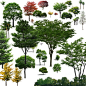 建筑设计素材网---假山雕塑树木植物人物配景