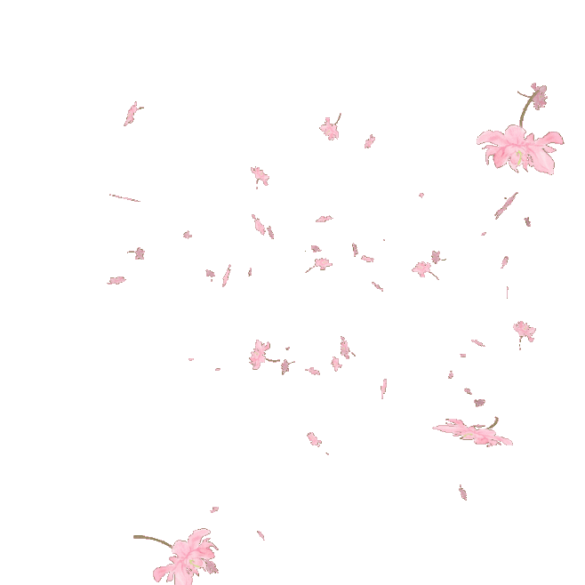 仿真环境动图-16樱花