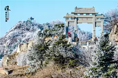 泰山玉枝琼花只为你绽放_风景_POCO摄影,泰山,雾松