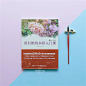 自学水彩没你想的那么难，说说我是怎么自学的 - 优设-UISDC