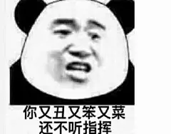 39002你又丑又笨又菜还不听指挥 斗图 表情包 花瓣搜索【关键字+飞天胖虎】可以找到系列表情包